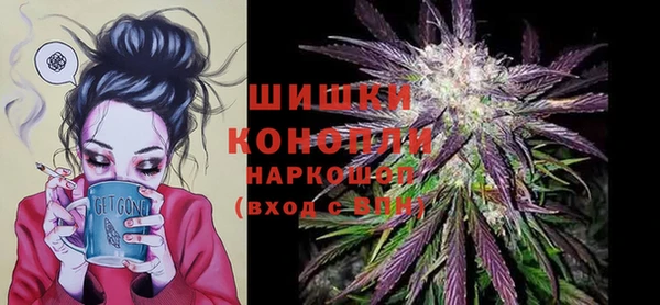 винт Сосновый Бор