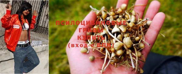 винт Сосновый Бор